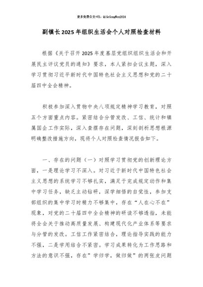 副镇长2025年组织生活会个人对照检查材料